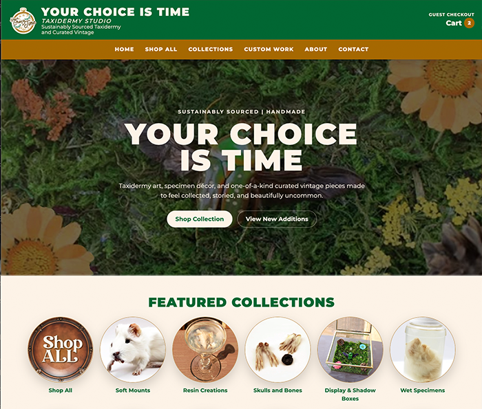Your Choice is Time Website Screenshot